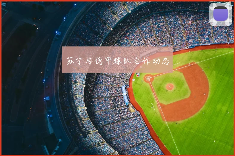 苏宁与德甲球队合作动态