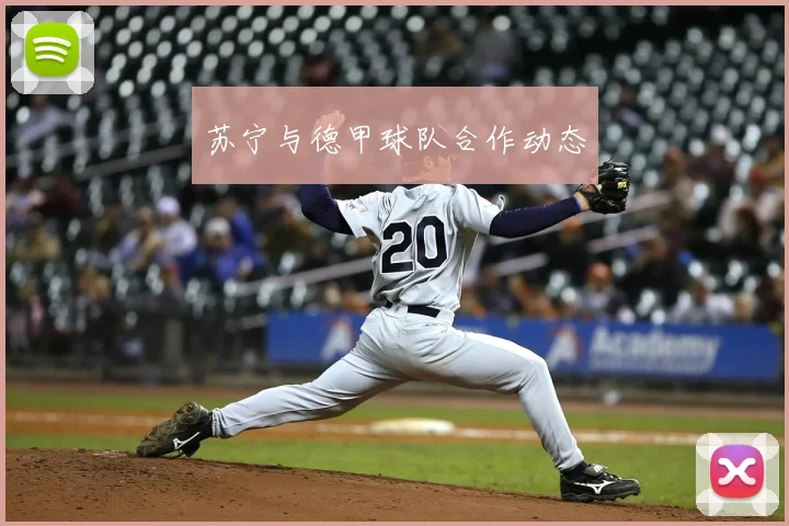 苏宁与德甲球队合作动态