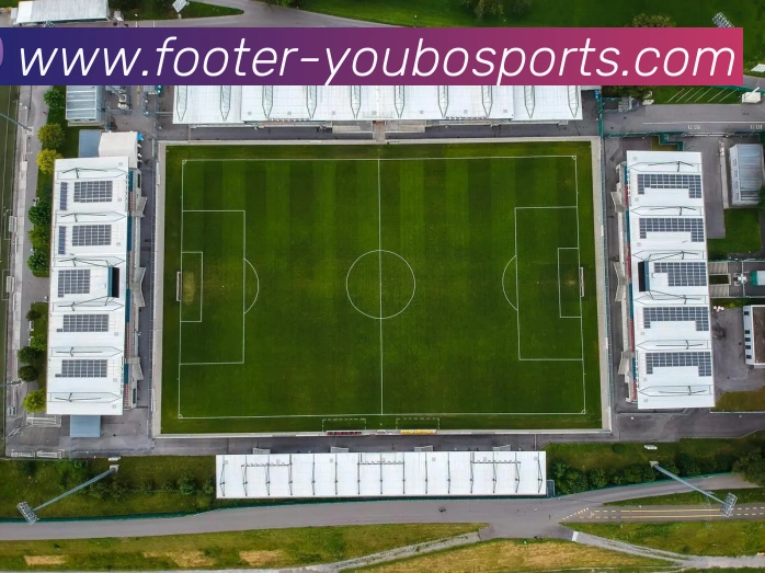 友博体育平台生态图